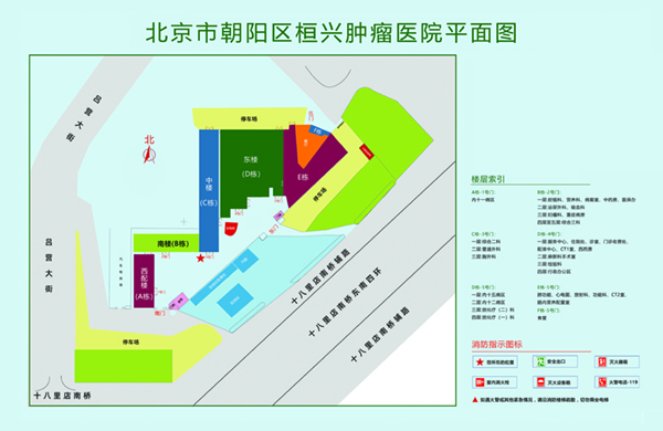 ww.操逼北京市朝阳区桓兴肿瘤医院平面图